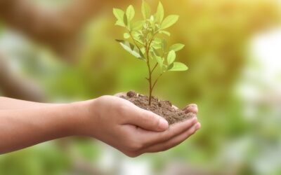 Earth Healing Day